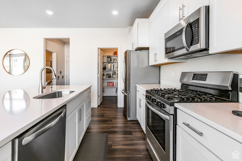 Kitchen with white cabinetry, dark wood-type flooring, appliances with stainless steel finishes, and sink