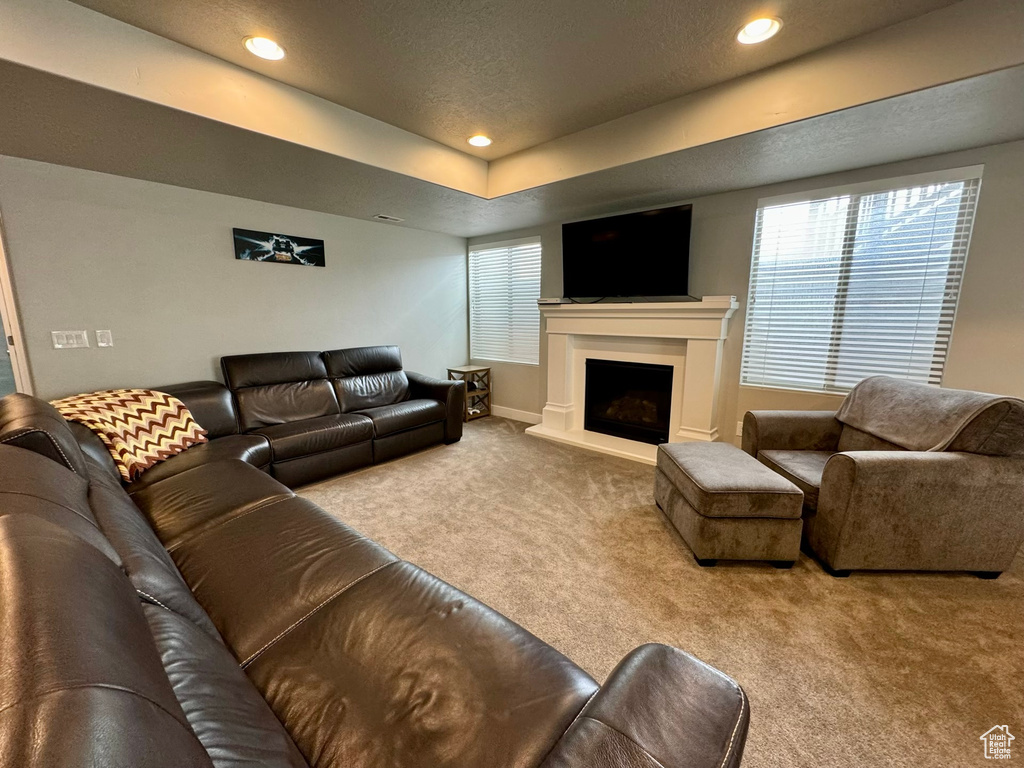 Carpeted living room with a tray ceiling