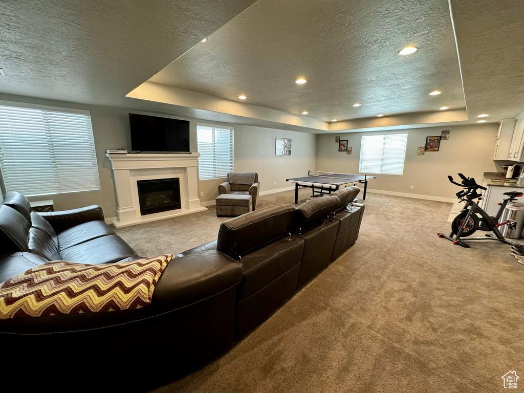 Carpeted home theater room featuring a textured ceiling, a raised ceiling, and a wealth of natural light