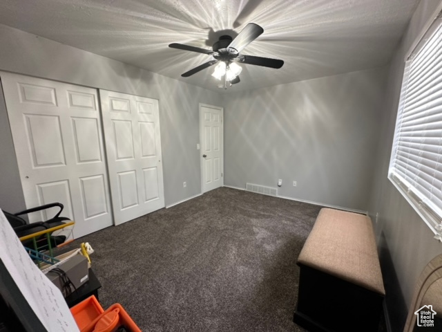 Unfurnished room with carpet flooring, ceiling fan, and a healthy amount of sunlight