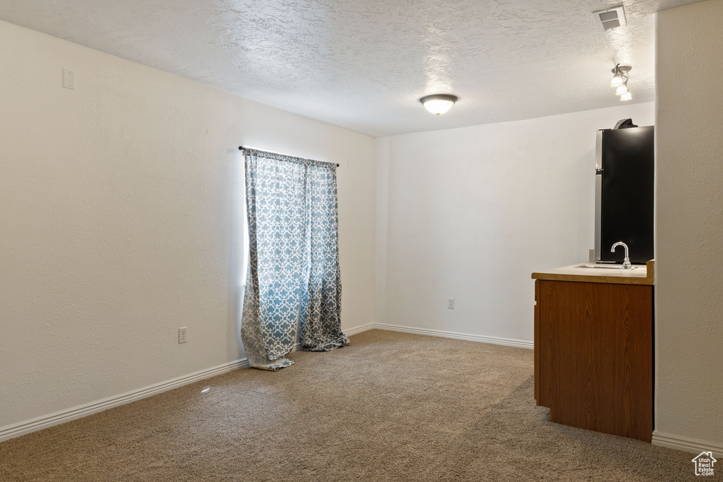 Carpeted empty room featuring a textured ceiling and sink