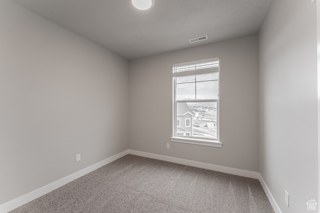 Carpeted empty room with a textured ceiling