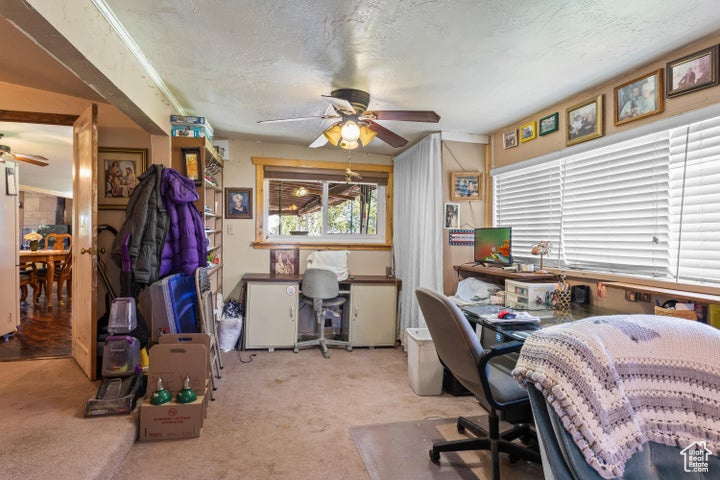 Carpeted office featuring ceiling fan and a textured ceiling