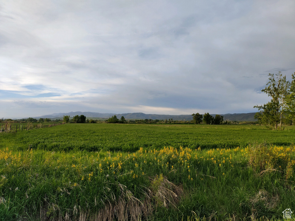 View of local wilderness with a mountain view and a rural view