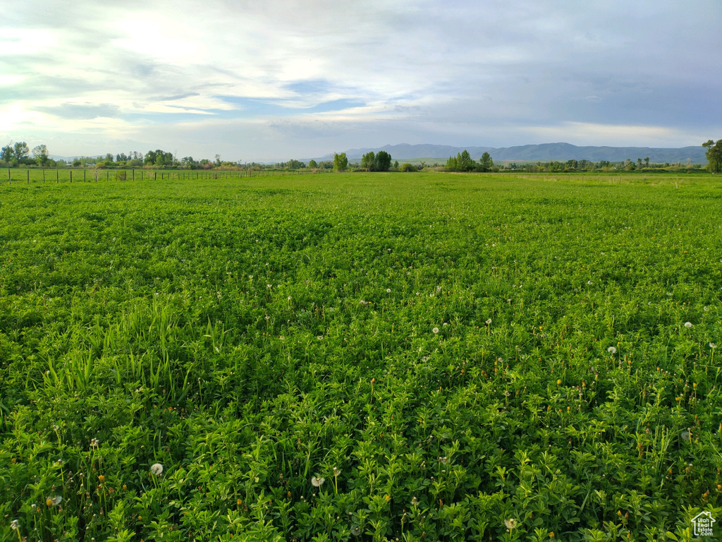 View of local wilderness featuring a rural view