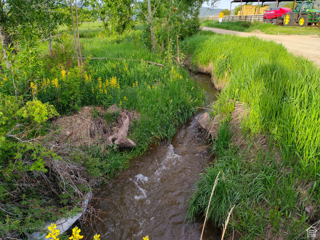 View of local wilderness featuring a water view