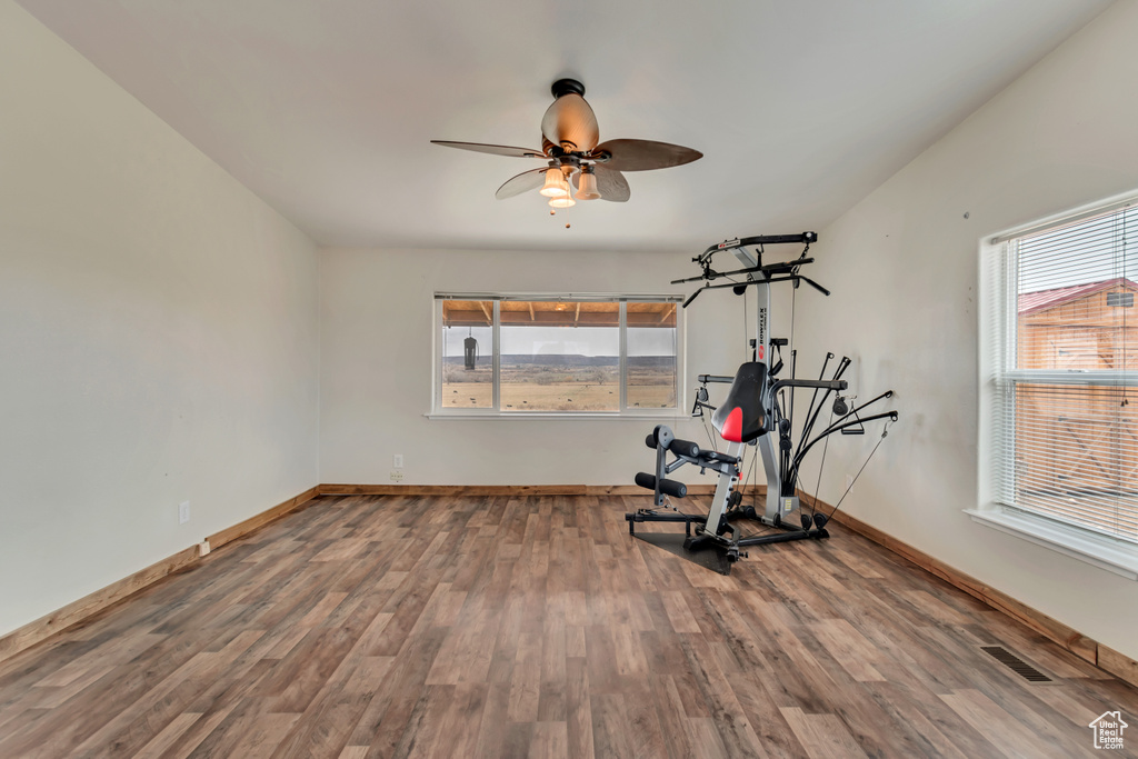 Exercise area featuring hardwood / wood-style floors and a healthy amount of sunlight