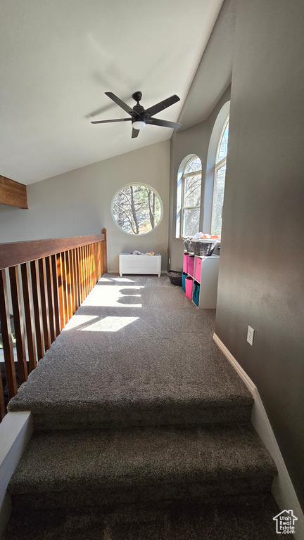 Staircase featuring carpet flooring and ceiling fan
