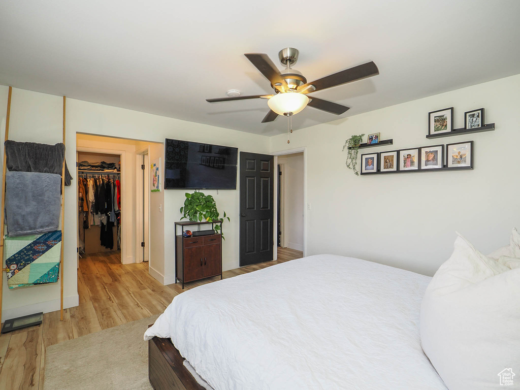 Bedroom with a walk in closet, a closet, ceiling fan, and light wood-type flooring