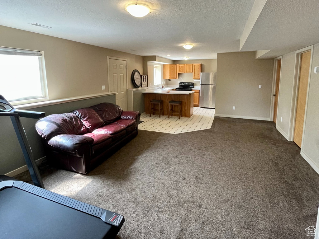 Living room with carpet flooring and a textured ceiling