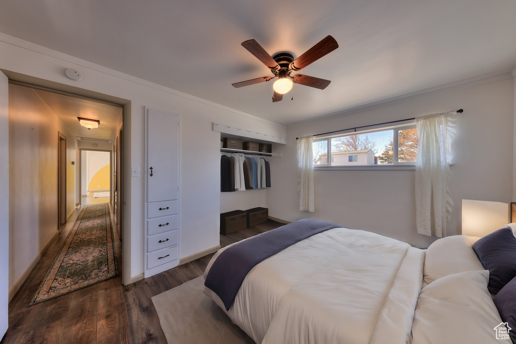 Bedroom featuring dark hardwood / wood-style flooring, a closet, and ceiling fan