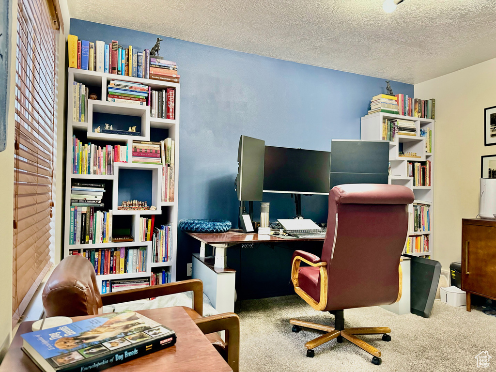 Home office featuring carpet floors and a textured ceiling