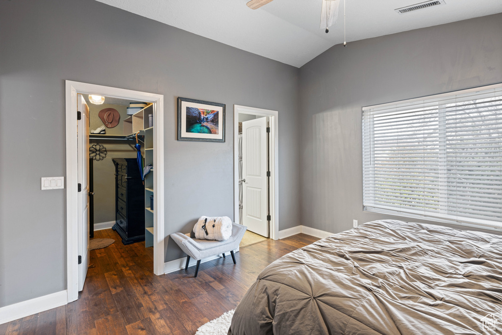 Bedroom featuring dark hardwood / wood-style floors, ceiling fan, a spacious closet, vaulted ceiling, and a closet