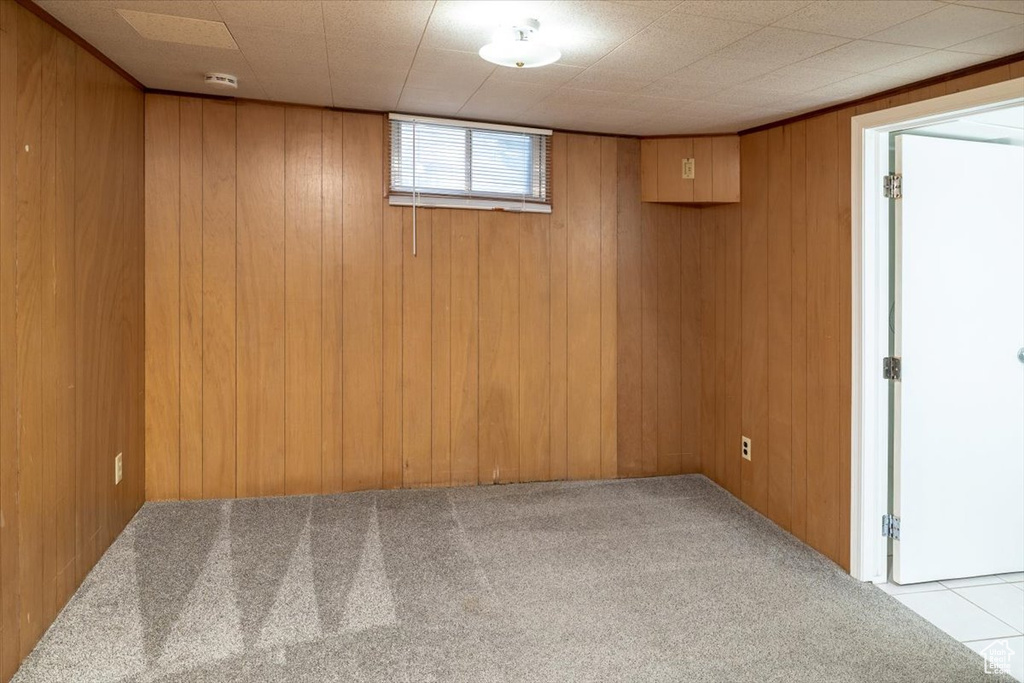 Basement with light carpet and wooden walls