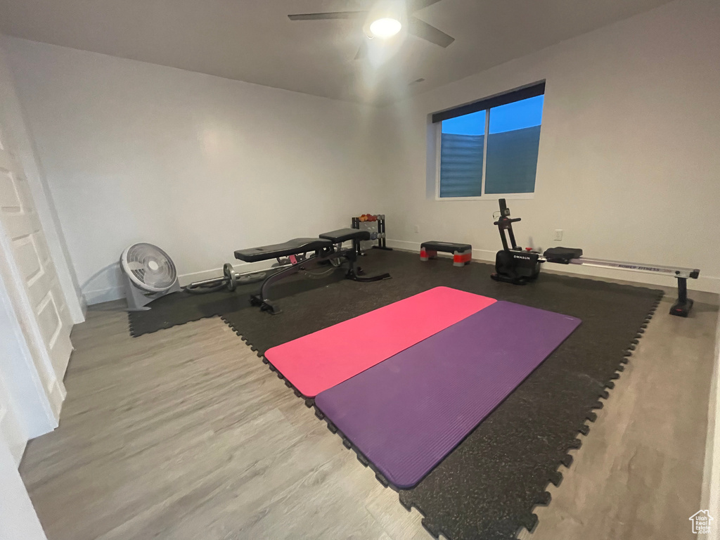 Workout room featuring ceiling fan and light wood-type flooring