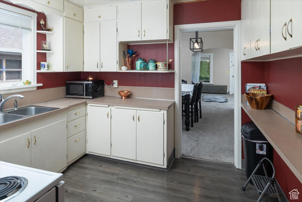 Kitchen featuring white cabinets, sink, and dark hardwood / wood-style flooring