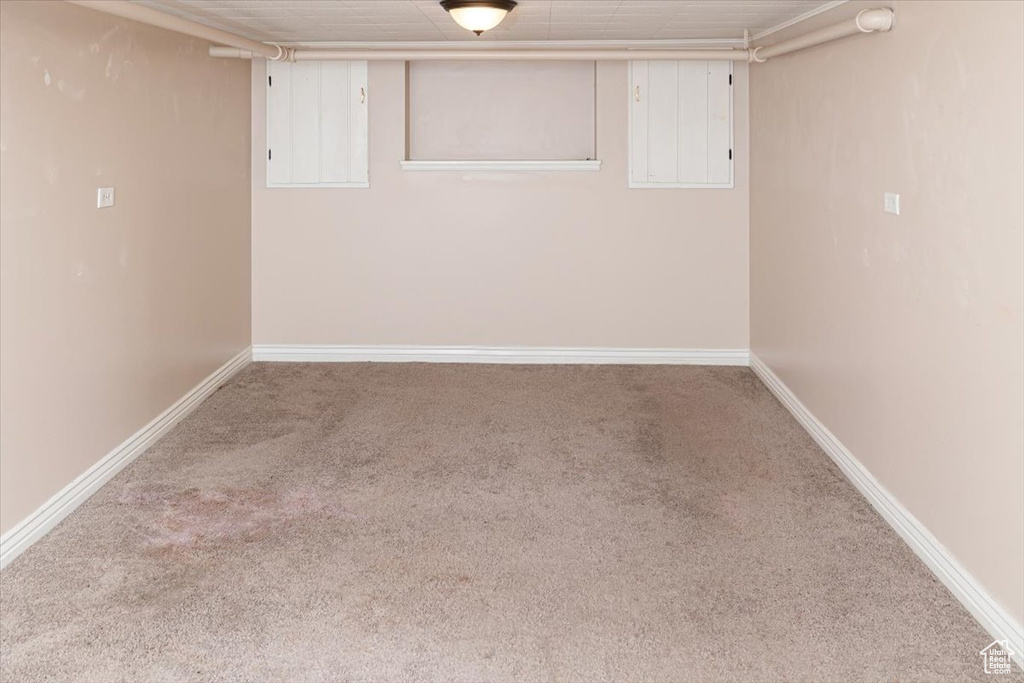 Basement featuring carpet