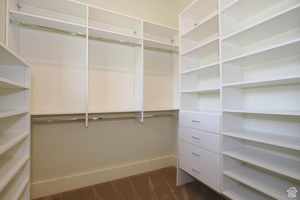 Walk in closet with dark colored carpet