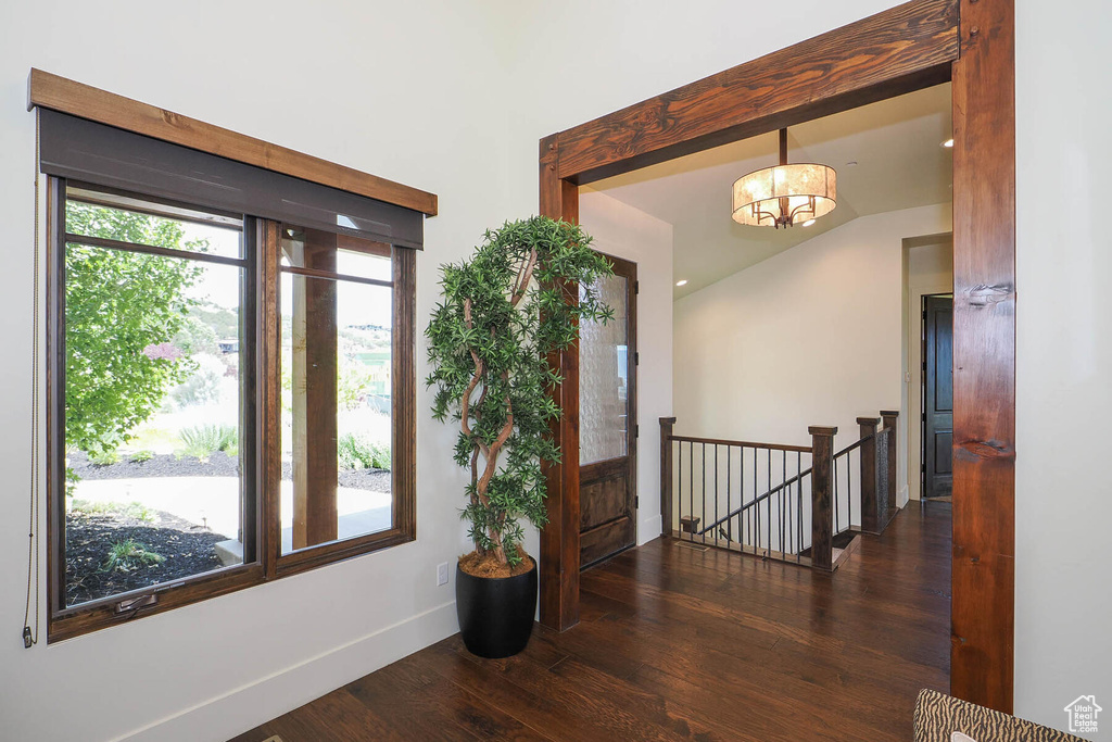 Foyer entrance with a chandelier and dark hardwood / wood-style floors