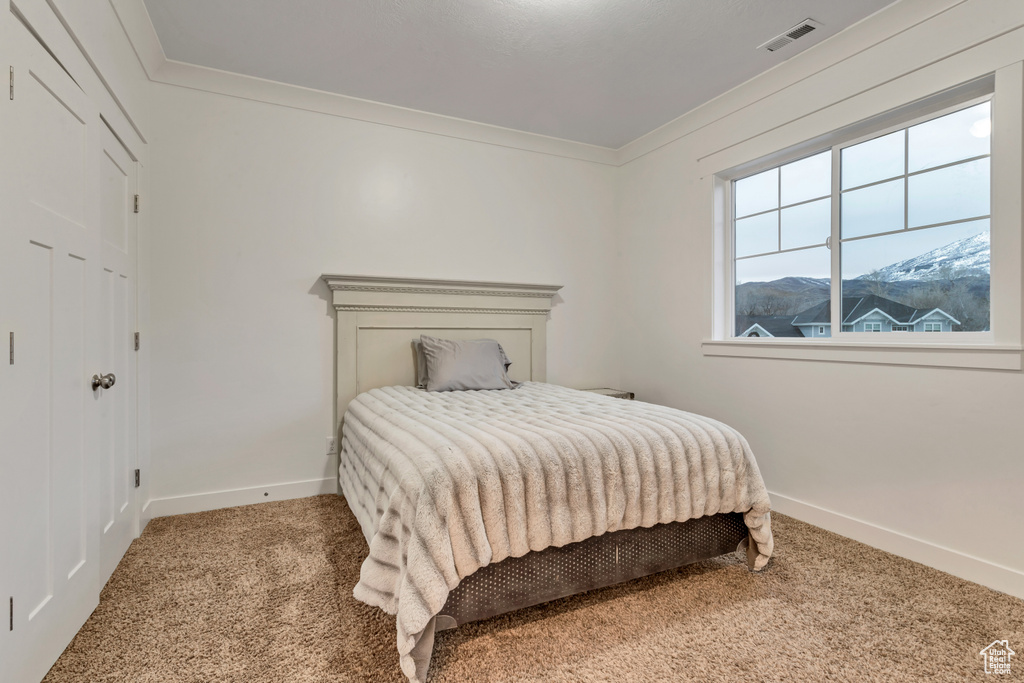 Bedroom with a mountain view, carpet flooring, and ornamental molding