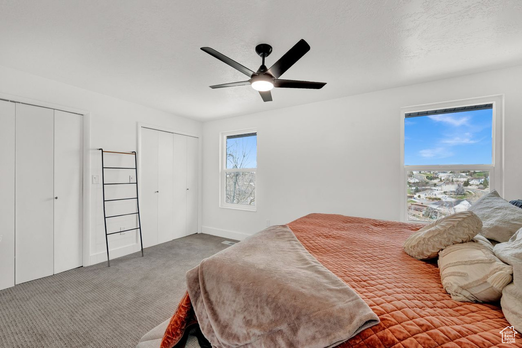 Carpeted bedroom with two closets, ceiling fan, and multiple windows