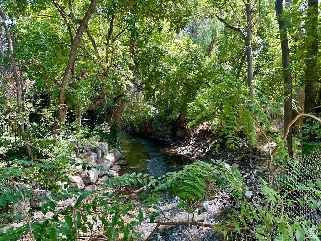 View of local wilderness