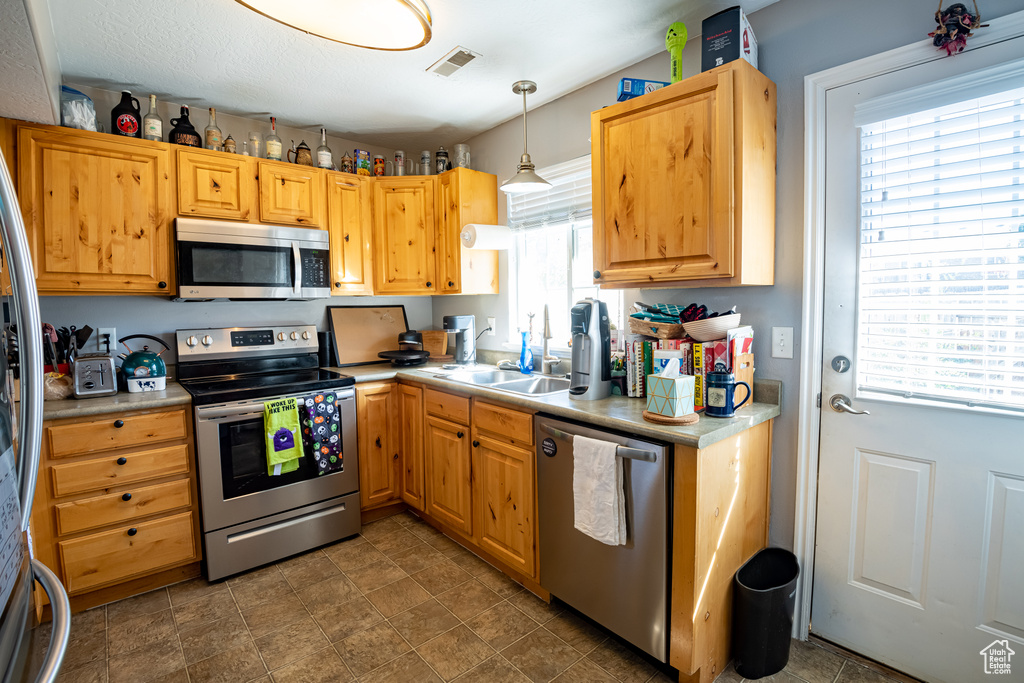 Kitchen with plenty of natural light, stainless steel appliances, decorative light fixtures, and sink