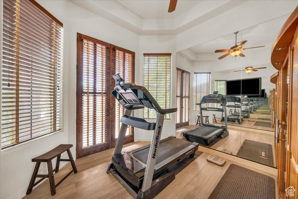 Workout area with ceiling fan, a tray ceiling, and light hardwood / wood-style flooring