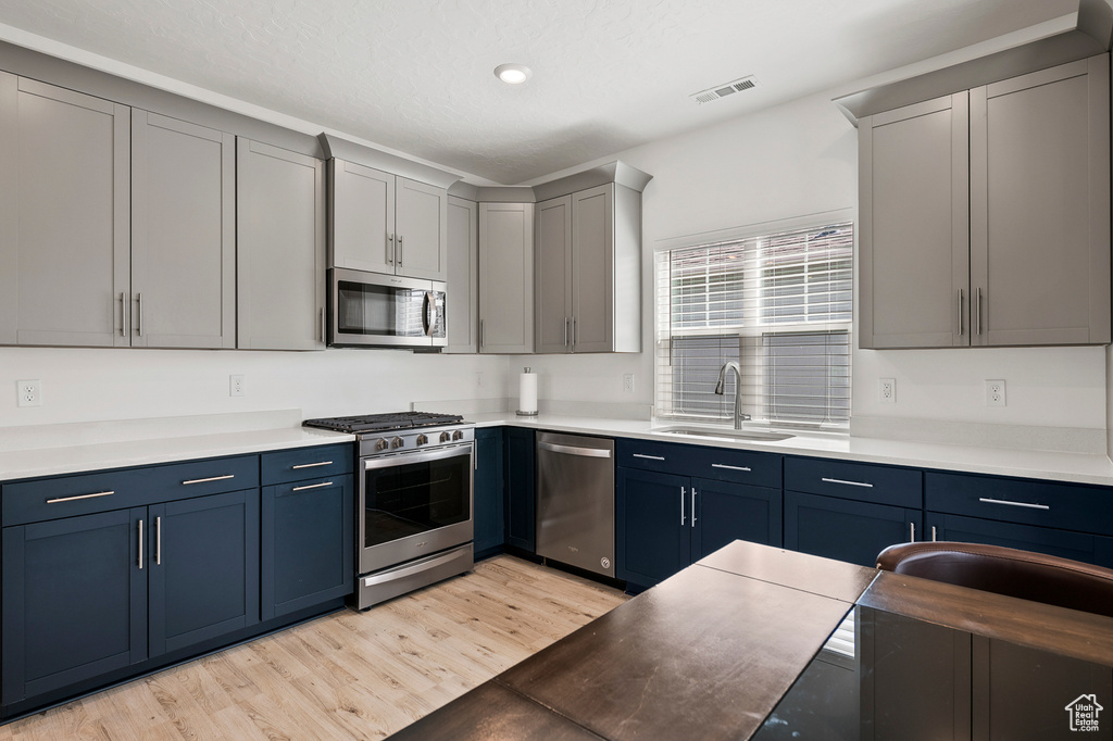 Kitchen with light hardwood / wood-style flooring, gray cabinetry, appliances with stainless steel finishes, and sink