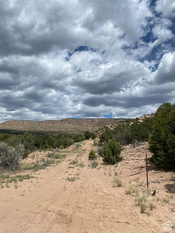 View of local wilderness