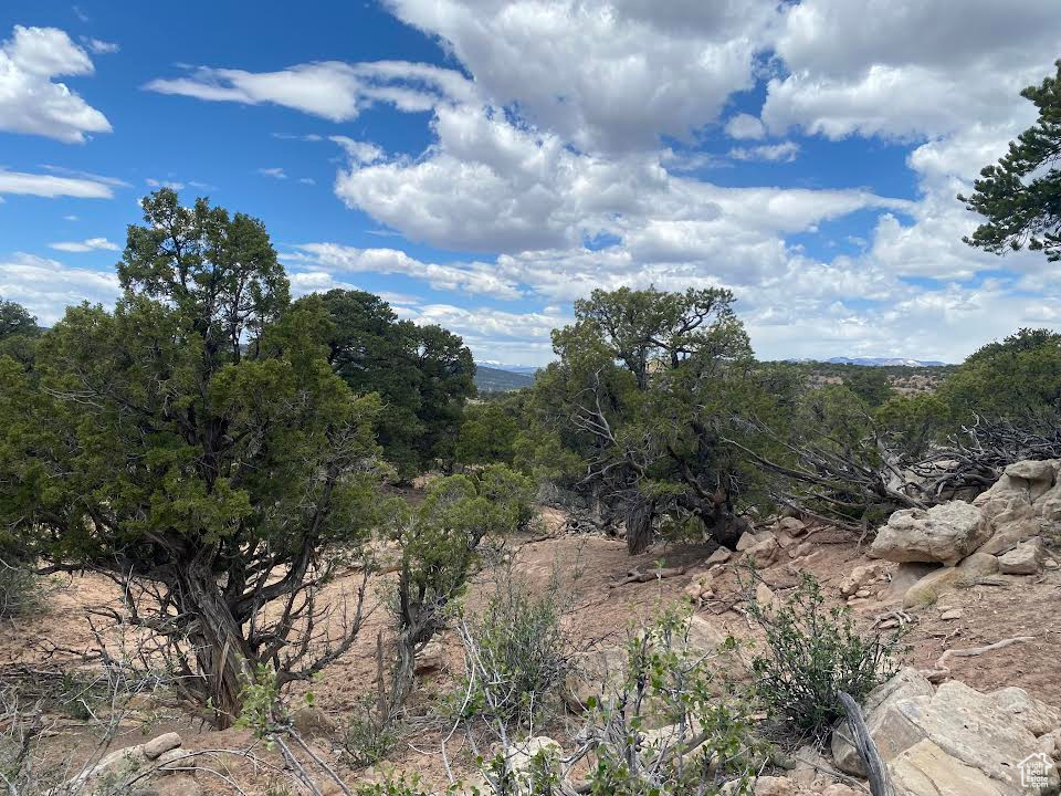 View of landscape