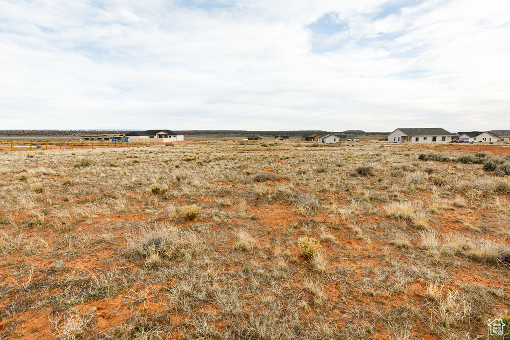 View of local wilderness with a rural view