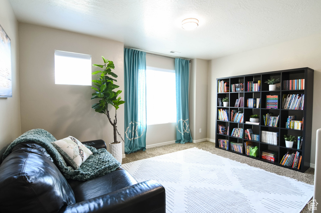 Living area featuring light carpet