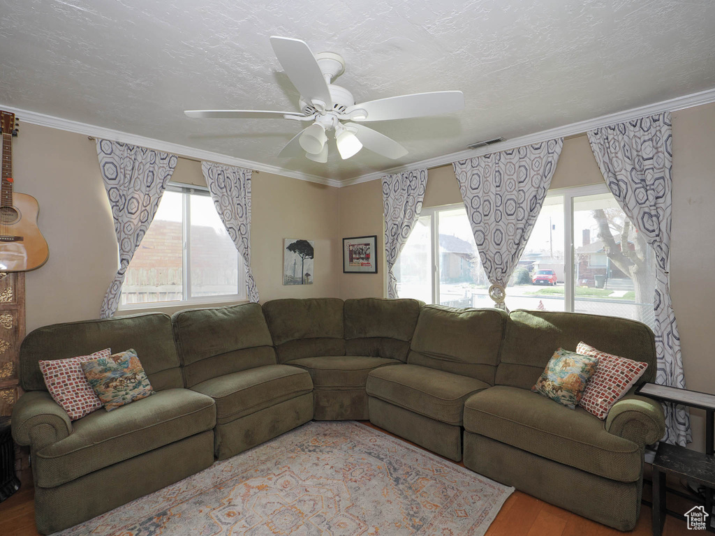 Living room with hardwood / wood-style floors, ceiling fan, a textured ceiling, and crown molding