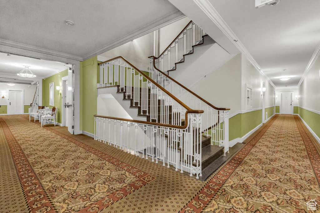 Stairway featuring light carpet and ornamental molding