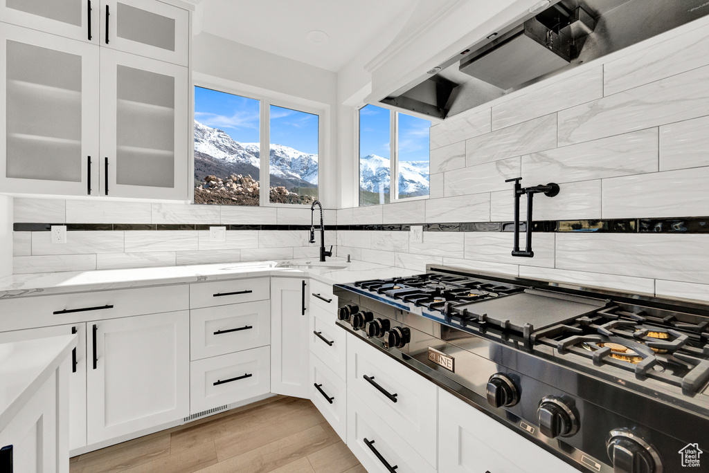 Kitchen featuring light stone countertops, white cabinetry, backsplash, light hardwood / wood-style floors, and sink
