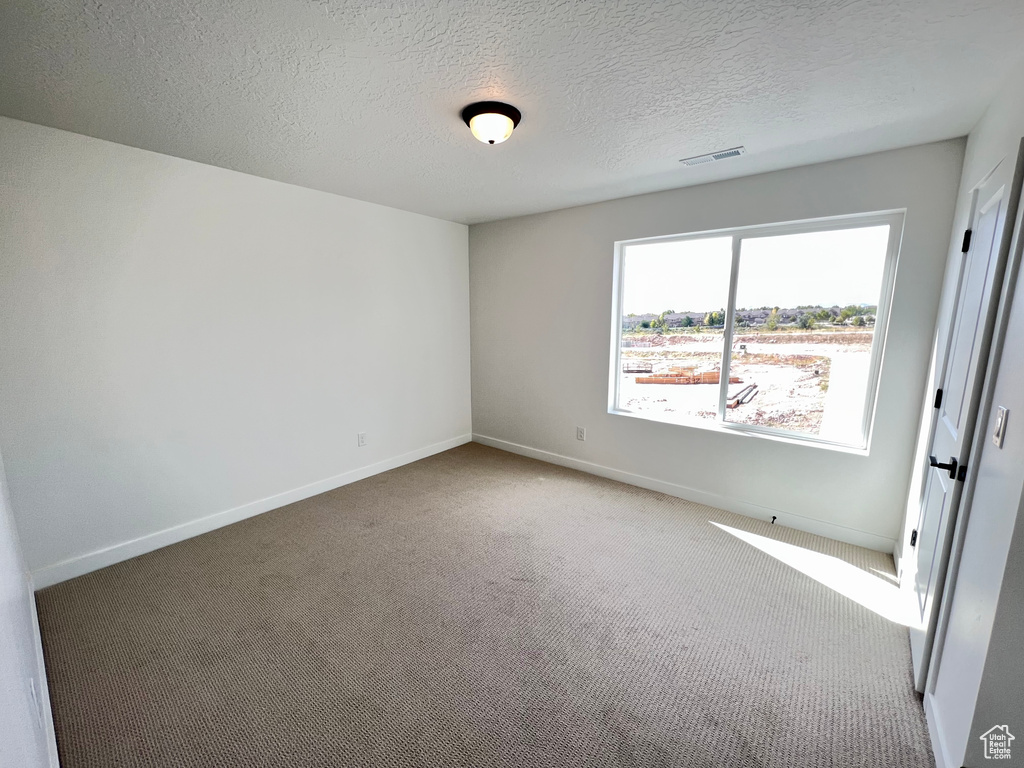 Unfurnished room featuring a textured ceiling and light colored carpet