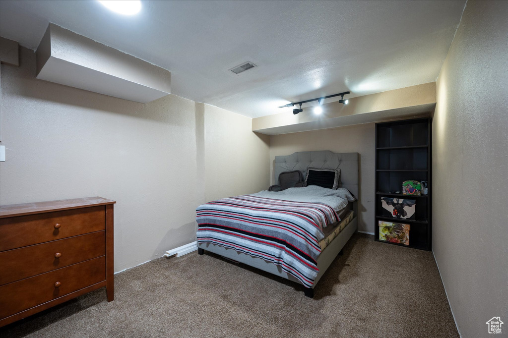 Bedroom featuring carpet flooring and track lighting