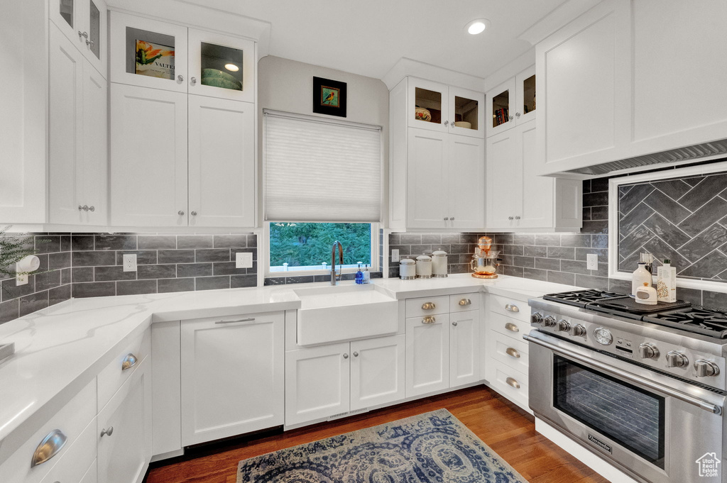 Kitchen with dark hardwood / wood-style floors, sink, light stone counters, high end range, and white cabinetry