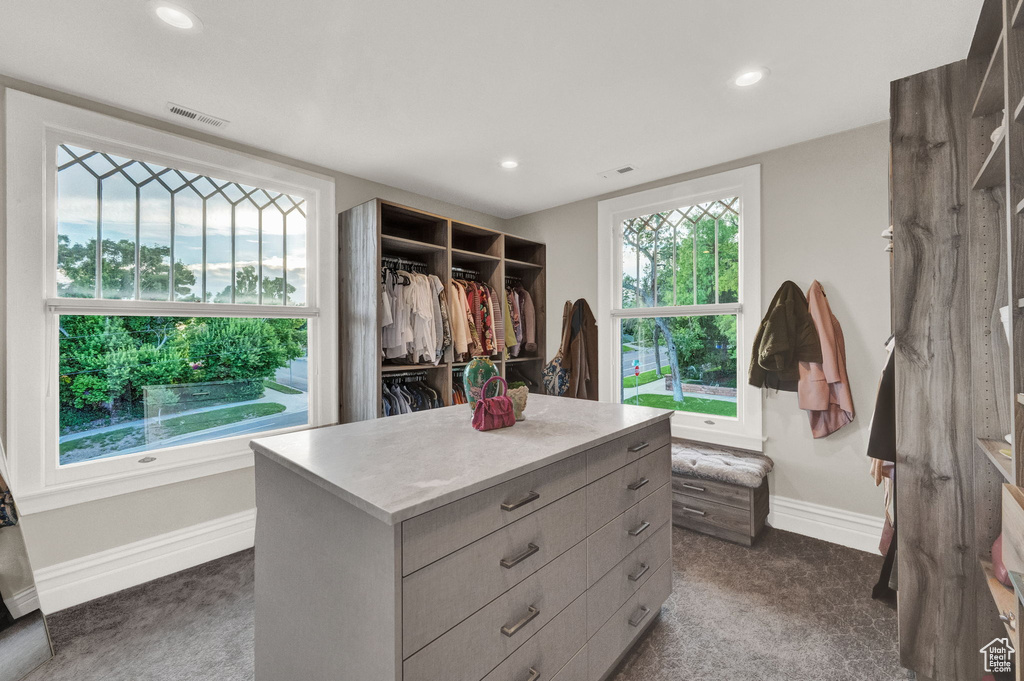 Spacious closet with dark carpet