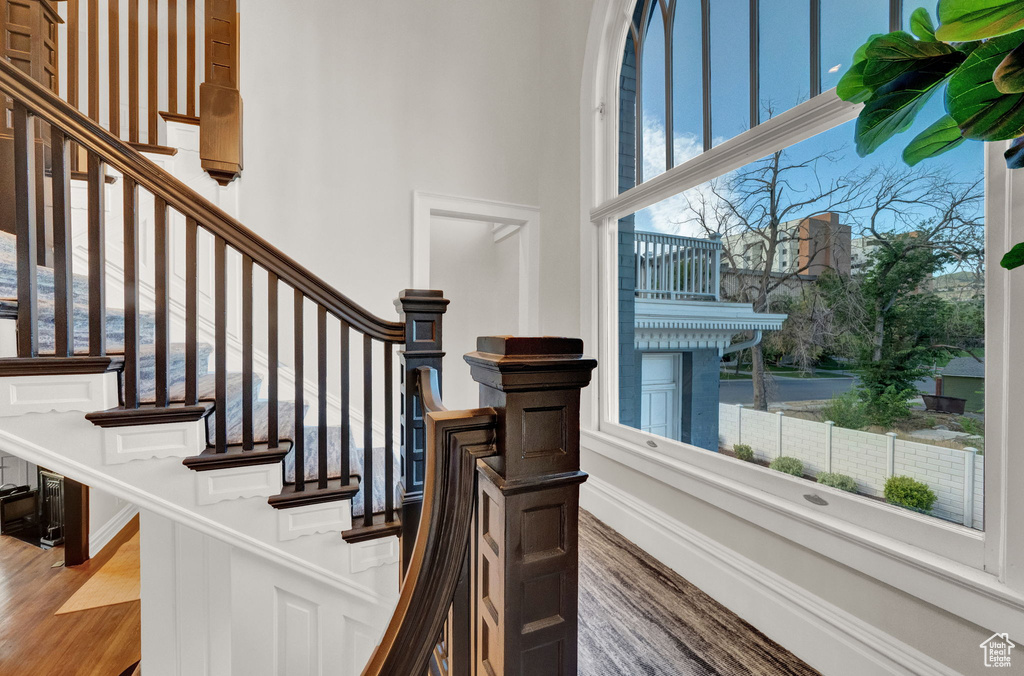 Staircase with dark hardwood / wood-style floors