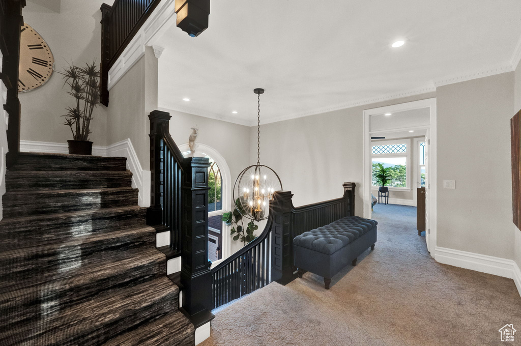 Stairway with an inviting chandelier, dark carpet, and crown molding