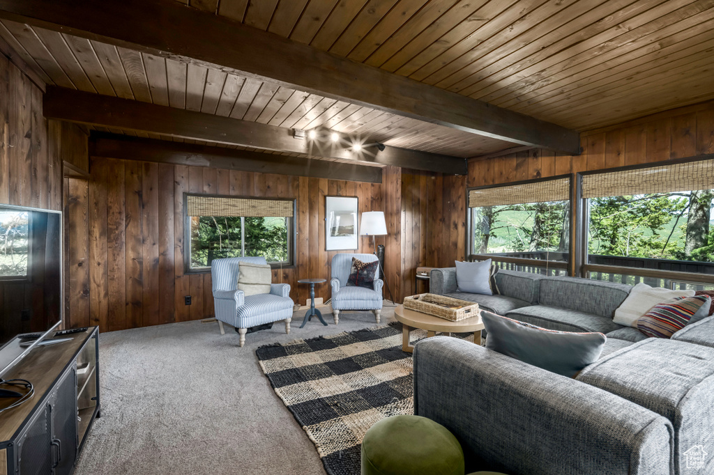 Carpeted living room featuring wood walls, wooden ceiling, and beamed ceiling