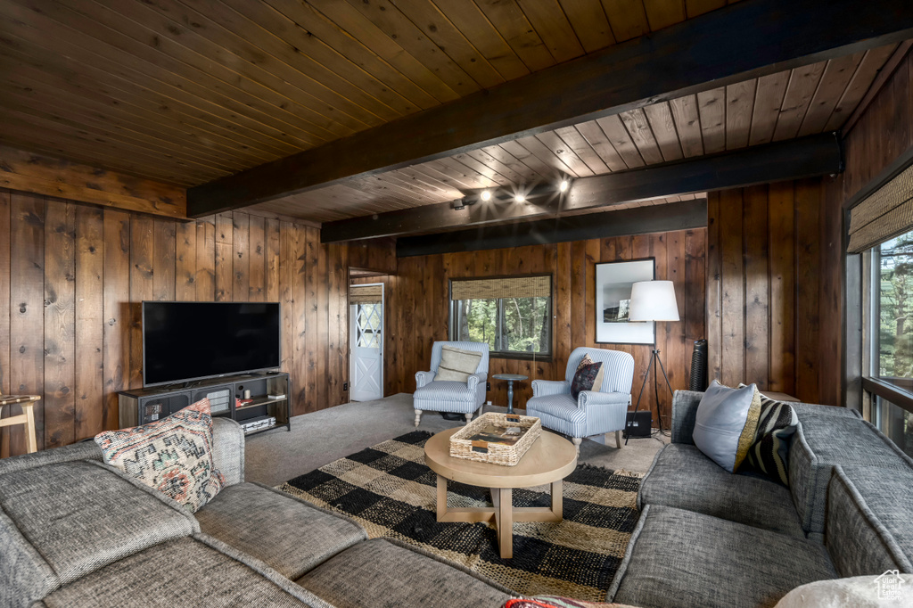 Carpeted living room with wooden ceiling, wood walls, and beamed ceiling