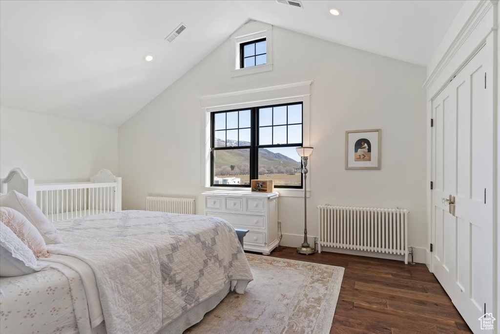 Bedroom featuring vaulted ceiling, a closet, radiator, and dark hardwood / wood-style flooring