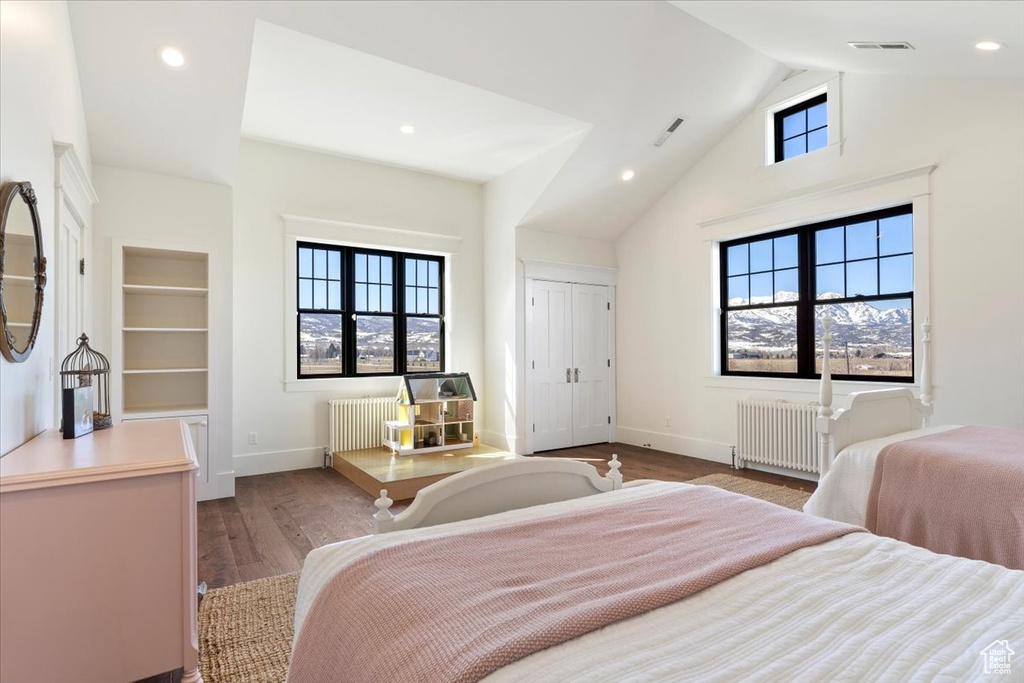 Bedroom featuring hardwood / wood-style floors, multiple windows, and radiator heating unit