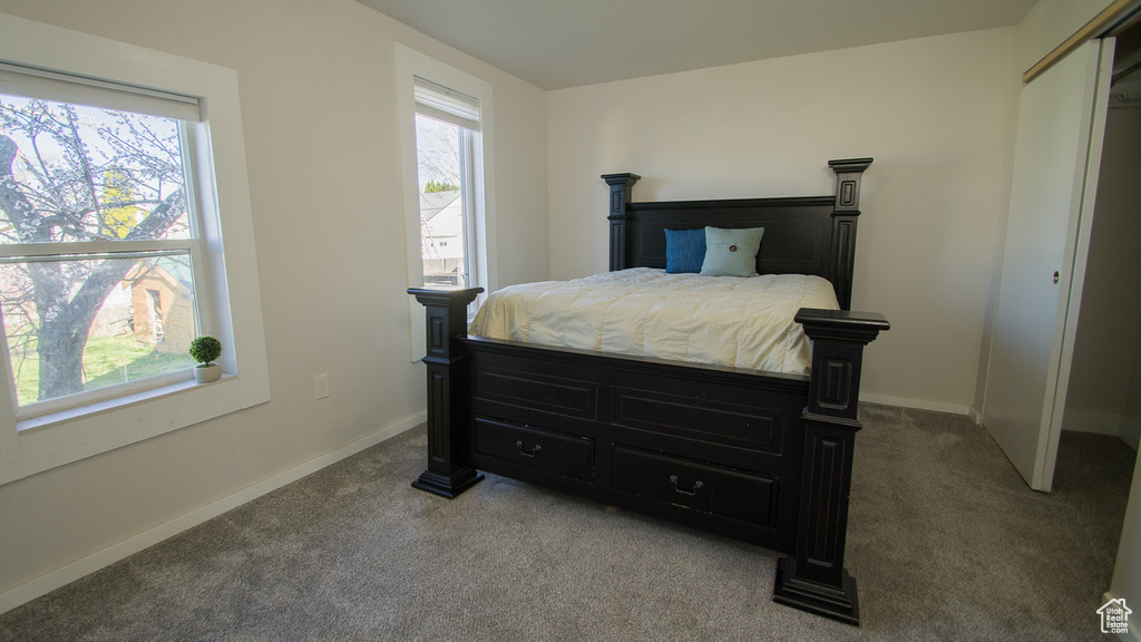 Bedroom featuring carpet floors and a closet