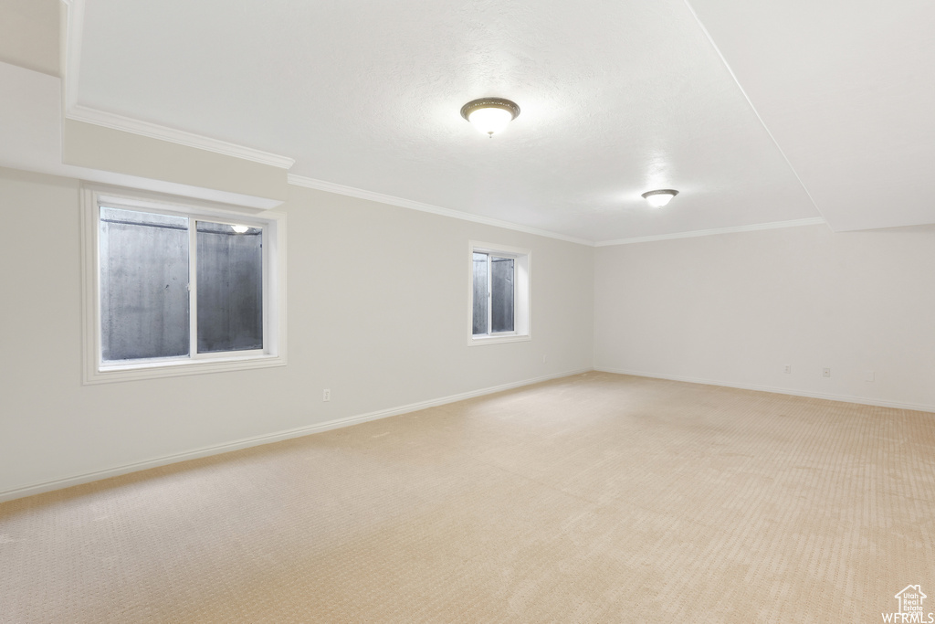 Spare room featuring light carpet and ornamental molding