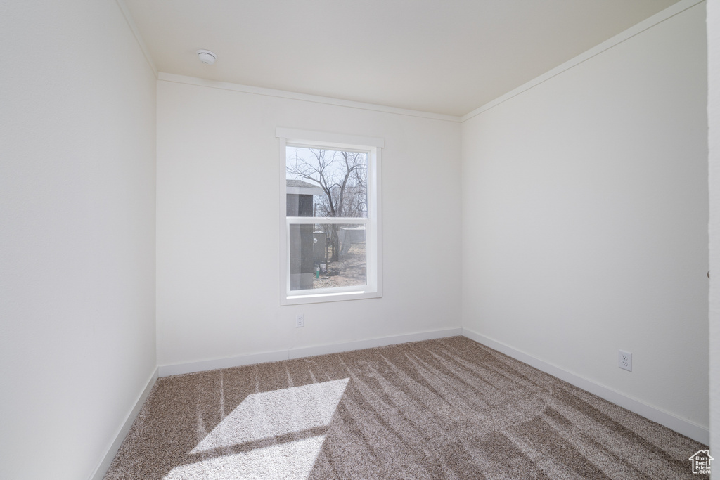 Unfurnished room with crown molding and carpet floors