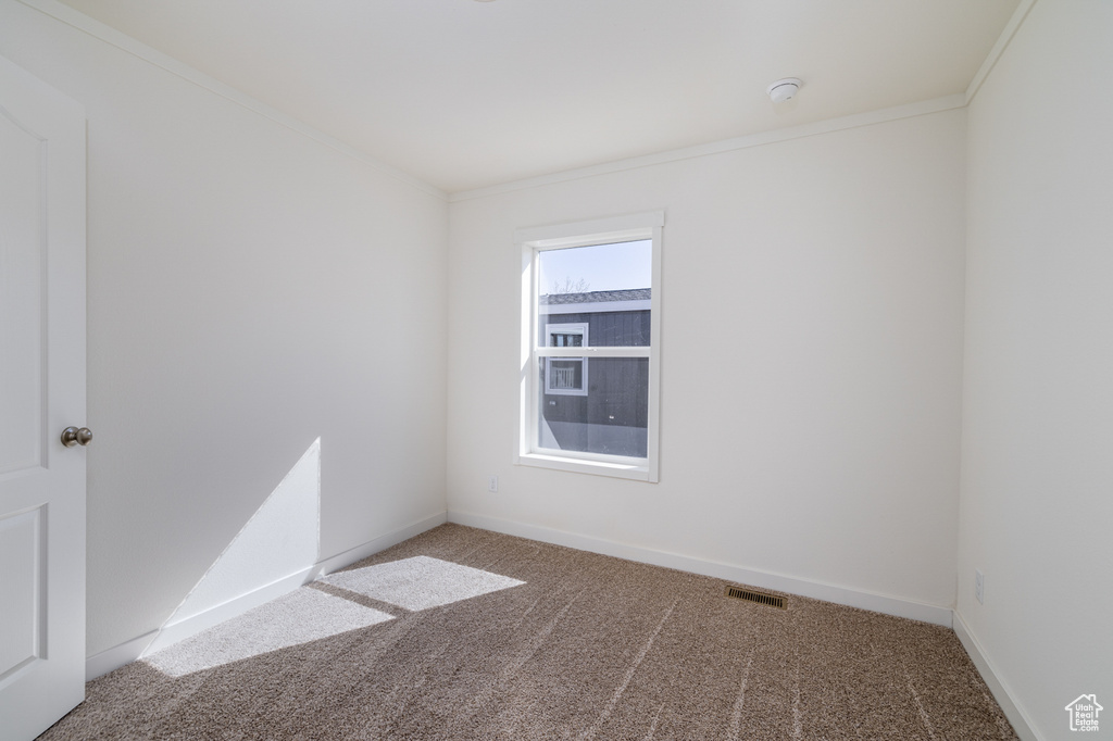 Spare room with carpet flooring and ornamental molding